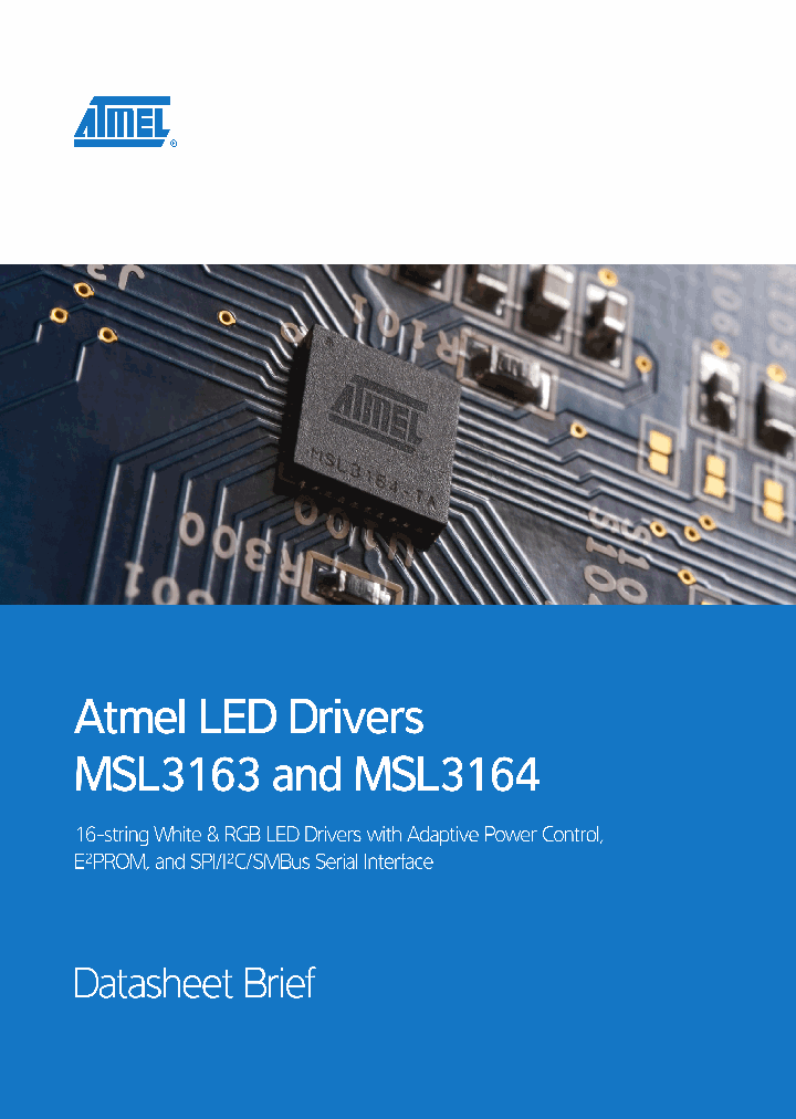 MSL3163_4265714.PDF Datasheet